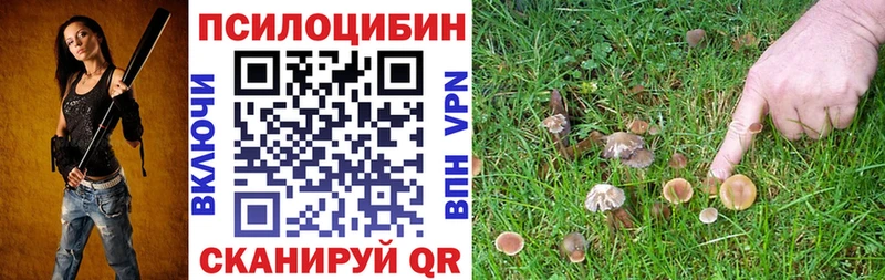 Псилоцибиновые грибы GOLDEN TEACHER цена наркотик Тольятти